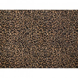 Leopard Series - Jaguar